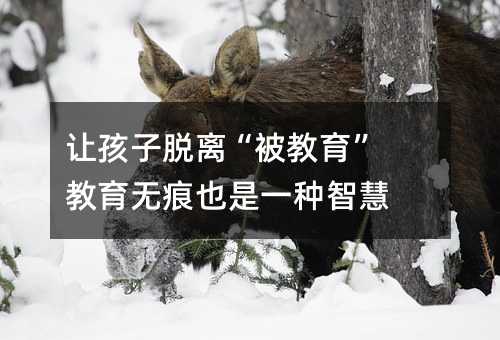 ׌����Ó�x���������� �����o��Ҳ��һ�N�ǻ�