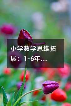 С�W���W˼�S��չ��1-6�꼉�����}����Ƚ����c������