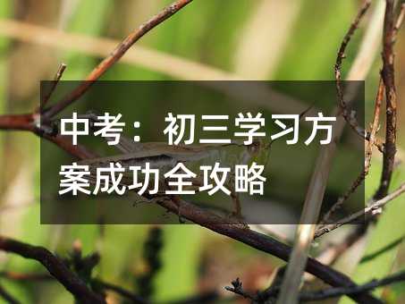 �п��������W(xu��)��(x��)�����ɹ�ȫ����