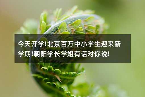 今天開學!北京百萬中小學生迎來新學期!朝陽學長學姐有話對你說!