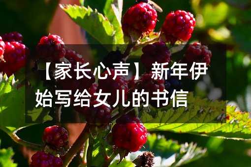 【家長心聲】新年伊始寫給女兒的書信