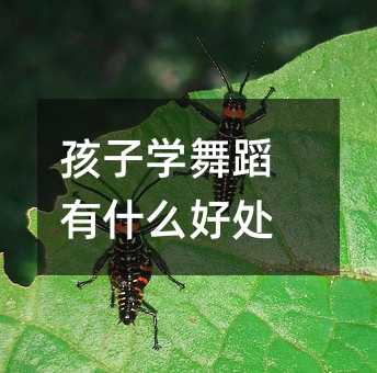 孩子學舞蹈有什么好處