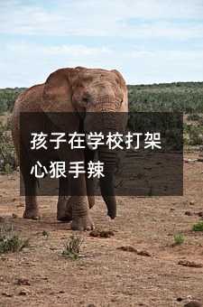 孩子在學(xué)校打架心狠手辣