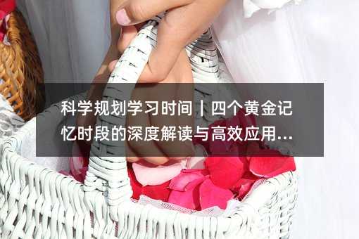 科學(xué)規(guī)劃學(xué)習(xí)時(shí)間|四個(gè)黃金記憶時(shí)段的深度解讀與高效應(yīng)用指南