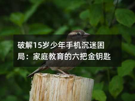 破解15歲少年手機沉迷困局:家庭教育的六把金鑰匙