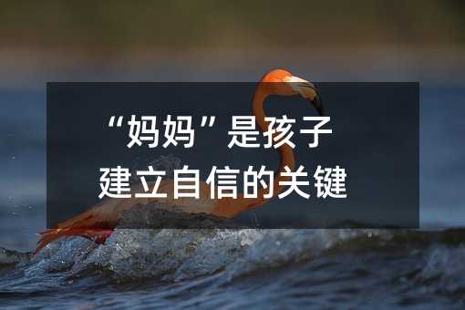 “媽媽”是孩子建立自信的關鍵