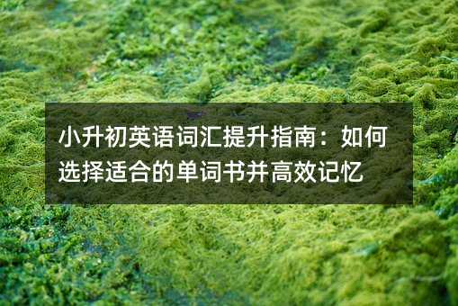 小升初英語詞匯提升指南:如何選擇適合的單詞書并高效記憶