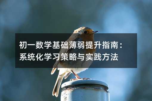 һ(sh)W(xu)A(ch)ָϣϵy(tng)W(xu)(x)c(sh)`