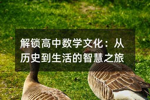 解鎖高中數(shù)學(xué)文化:從歷史到生活的智慧之旅