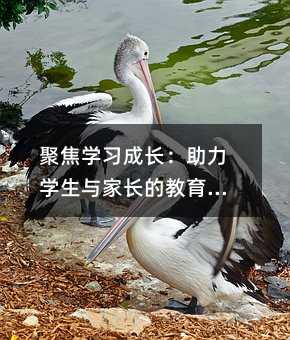 聚焦學習成長:助力學生與家長的教育指南