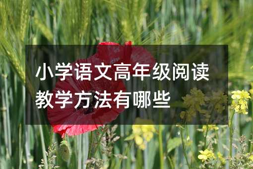 小學(xué)語文高年級閱讀教學(xué)方法有哪些