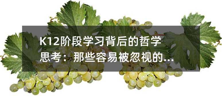 K12�A�ΌW(xu��)��(x��)������܌W(xu��)˼������Щ���ױ���ҕ��֪�R(sh��)�c(di��n)