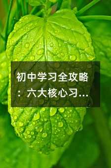 ЌWȫԣT+ƌWՓӷ꼉ǰ