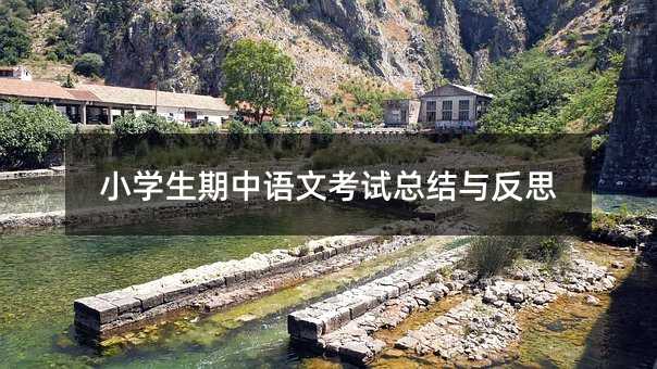 小學生期中語文考試總結與反思
