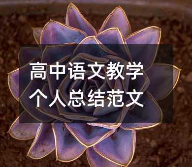 高中語文教學個人總結范文