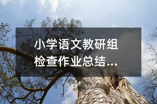 小學語文教研組檢查作業總結范文