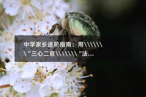 中學家長進階指南:用“三心二意“法破解青春期教育困局
