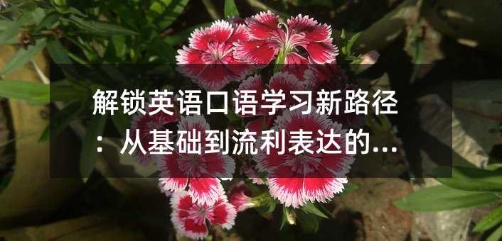 ���iӢ�Z���Z�W(xu��)��(x��)��·�����Ļ��A(ch��)���������_(d��)�����E