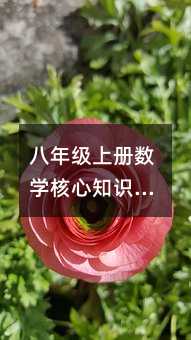 八年級上冊數學核心知識點深度解析:平均數、眾數與中位數