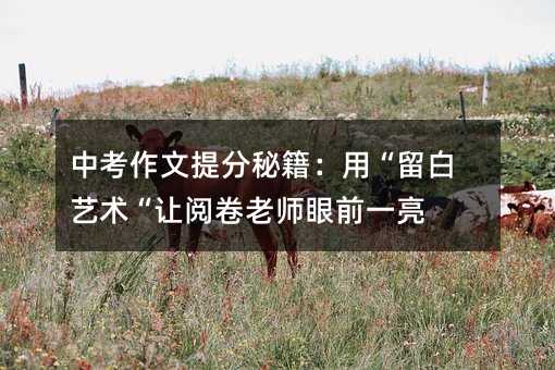 中考作文提分秘籍:用“留白藝術“讓閱卷老師眼前一亮