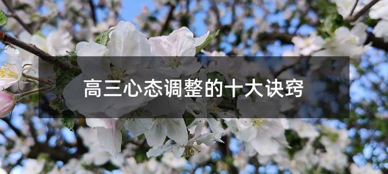 高三心態(tài)調(diào)整的十大訣竅
