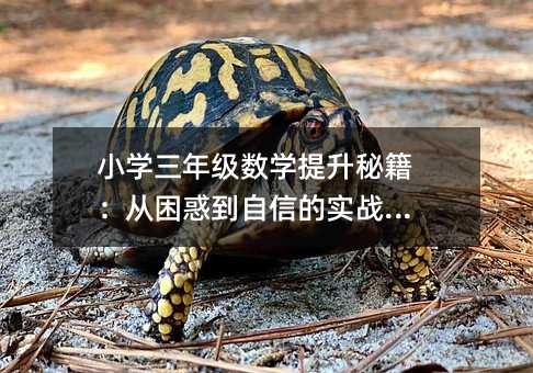 小學三年級數學提升秘籍:從困惑到自信的實戰攻略