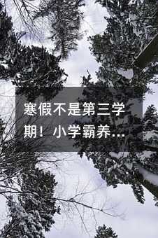 ���ٲ��ǵ����W�ڣ�С�W���B��Ӌ���@�Ӱ��ţ��������ӌW�����M��