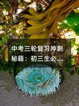 中考三輪復習沖刺秘籍:初三生必知的5大提分策略