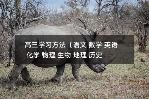 WZ W ӢZ W    vʷ Σ