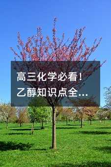 高三化學(xué)必看!乙醇知識(shí)點(diǎn)全解析:從生活應(yīng)用到考試技巧一網(wǎng)打盡