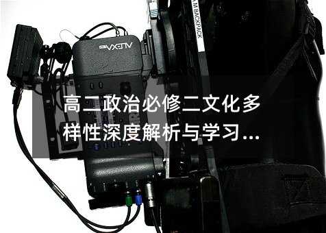 高二政治必修二文化多樣性深度解析與學習指南