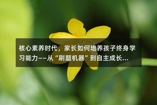 核心素養時代,家長如何培養孩子終身學習能力——從“刷題機器”到自主成長者的蛻變之路