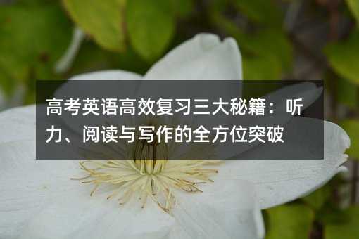 ߿ӢZЧؼ xcȫλͻ