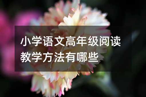 С�W�Z�ĸ��꼉��x�̌W��������Щ