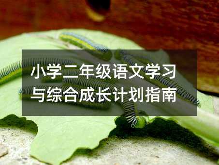 小學(xué)二年級(jí)語(yǔ)文學(xué)習(xí)與綜合成長(zhǎng)計(jì)劃指南