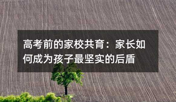 高考前的家校共育:家長如何成為孩子最堅實的后盾