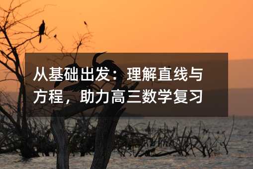 從基礎(chǔ)出發(fā):理解直線與方程,助力高三數(shù)學復習