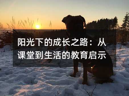 陽光下的成長之路:從課堂到生活的教育啟示