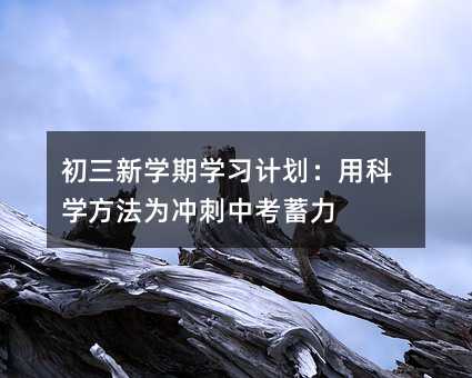 初三新學期學習計劃:用科學方法為沖刺中考蓄力