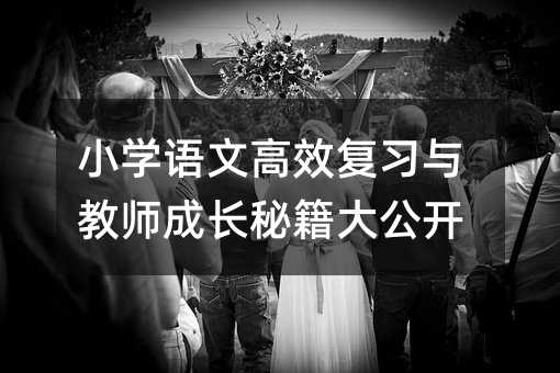 小學(xué)語(yǔ)文高效復(fù)習(xí)與教師成長(zhǎng)秘籍大公開(kāi)