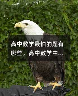 高中數學最怕的題有哪些,高中數學中,哪些題型最讓學生感到頭疼?