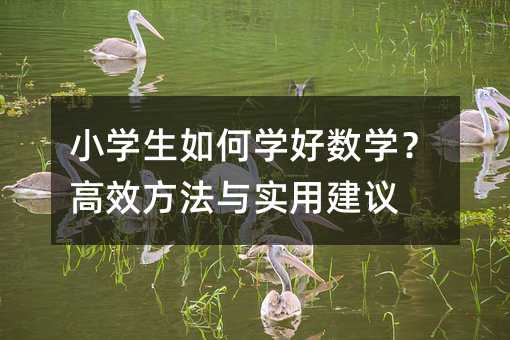小學(xué)生如何學(xué)好數(shù)學(xué)?高效方法與實用建議