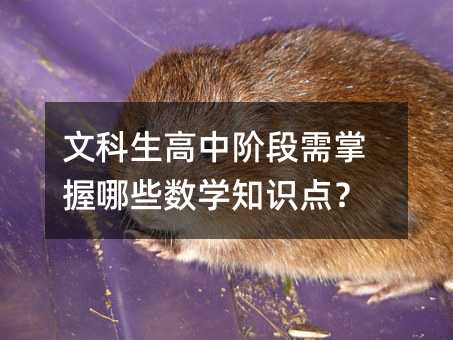 �Ŀ��������A����������Щ���W֪�R�c��