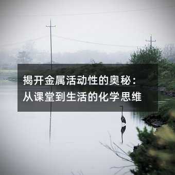 揭開金屬活動性的奧秘:從課堂到生活的化學思維