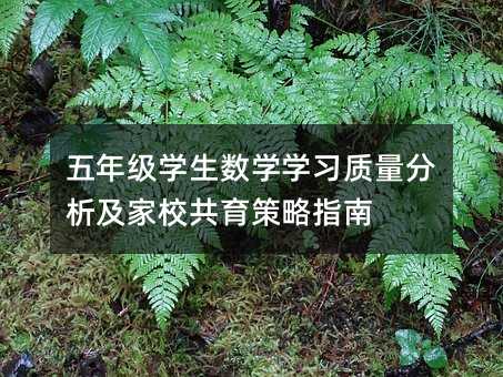 五年級學生數學學習質量分析及家校共育策略指南