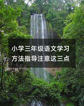 小學(xué)三年級語文學(xué)習(xí)方法指導(dǎo)注意這三點