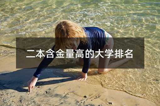 二本含金量高的大學排名