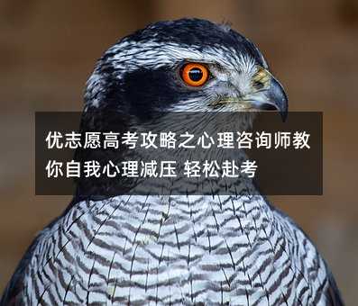 ��(y��u)־Ը�߿�����֮������ԃ��������������p�� �p�ɸ���