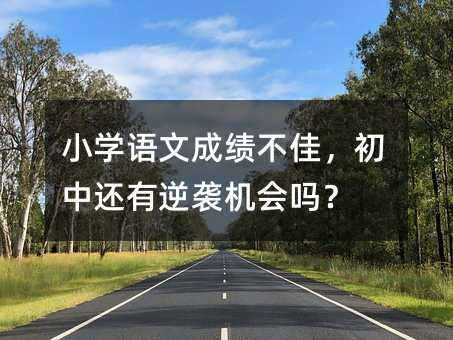 小學(xué)語文成績(jī)不佳,初中還有逆襲機(jī)會(huì)嗎?