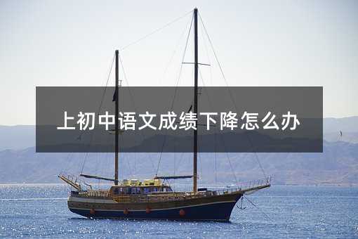 上初中語文成績下降怎么辦